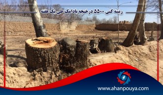 ریشه کنی 5500 درختچه بادامک طی یک هفته/ آقای رییسی با متجاوزین قاطعانه برخورد کنید