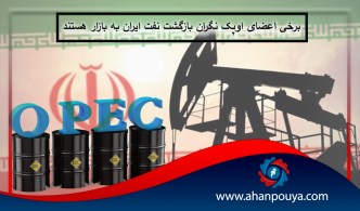 برخی اعضا اوپک نگران بازگشت نفت ایران به بازار هستند