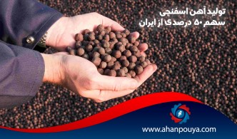 تولید آهن اسفنجی / سهم 50 درصدی از ایران