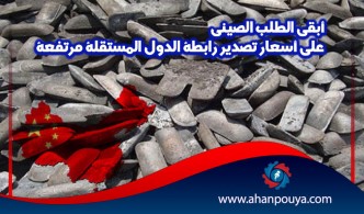 الطلب الصيني هو الراعي الرئيسي لسوق خام الحديد العالمي على المدى الطويل