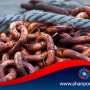 حديد الذی لا یصدأ ؟؟؟