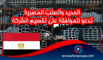 الحديد والصلب المصرية تدعو للموافقة على تقسيم الشركة