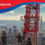 دور الصلب فی الاقتصاد الایرانی