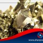Froniobium substance