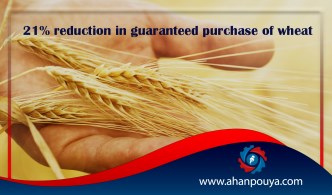 21% reduction in guaranteed purchase of wheat / serious drought damage to production